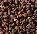 Timur (Sichuan Pepper) – Himalayan Spice | Timur product of Nepal