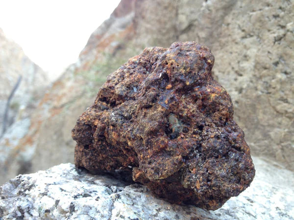 Pure Himalayan Shilajit (Soft Resin) – 100g | Lab Tested | Nepal Origin
