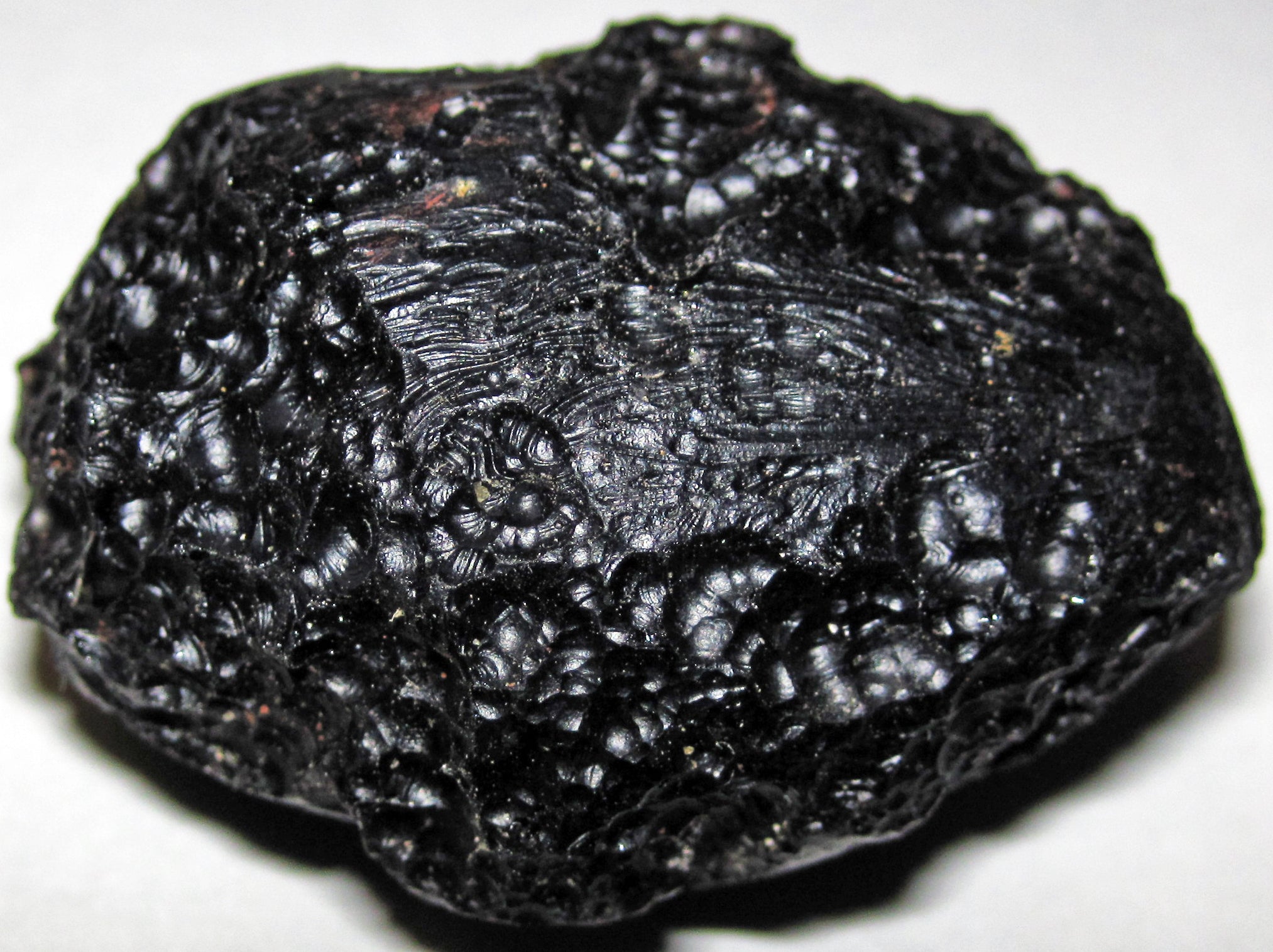 Pure Himalayan Shilajit (Soft Resin) – 100g | Lab Tested | Nepal Origin