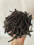 Long Pepper (Piper longum) – 100g | Himalayan Spice from Nepal