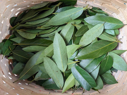 Bay Leaves (Tej Patta) – 50g | Premium Dried Bay Leaf for Cooking