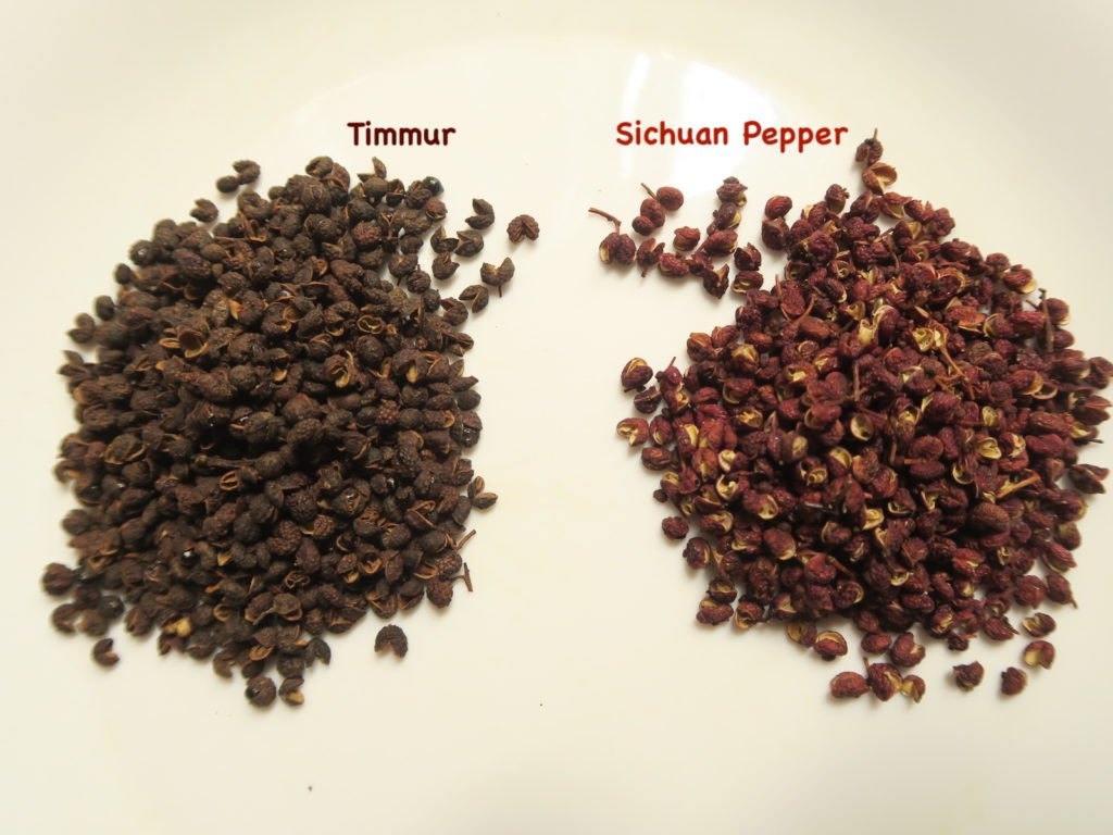 Timur (Sichuan Pepper) – Himalayan Spice | Timur product of Nepal